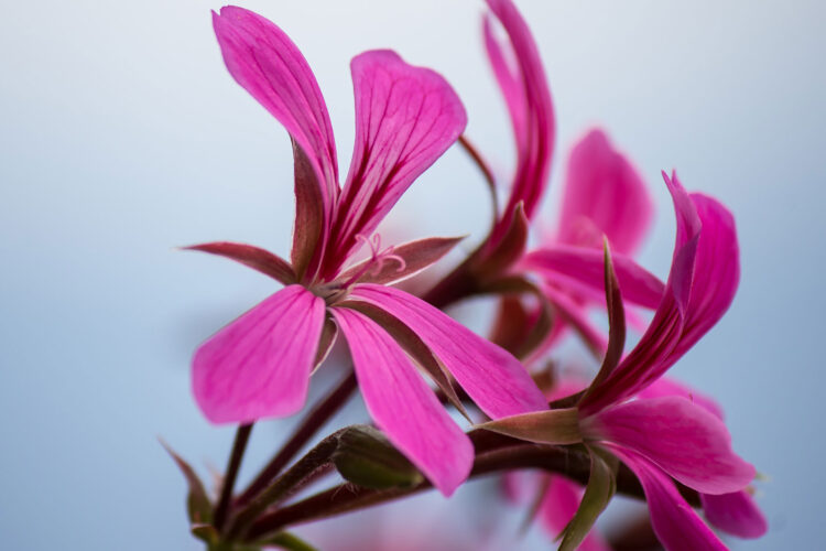 052