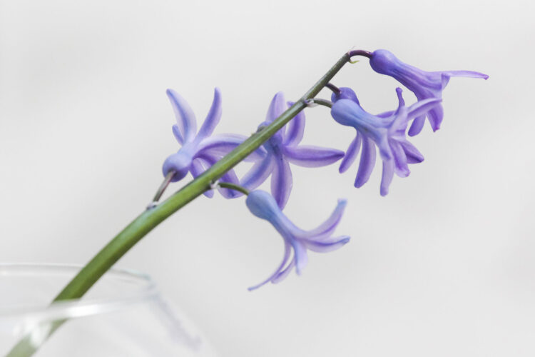 056